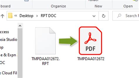 rptnfs|Convert RPT to PDF .